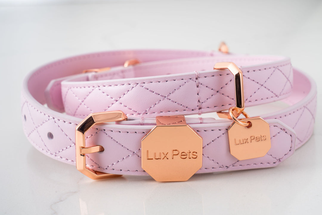 Leather Dog Collar - Pink