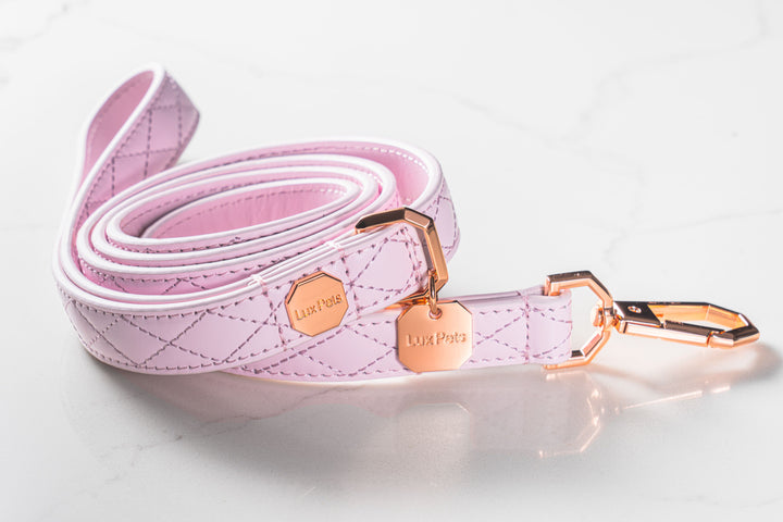 Leather Dog Leash - Pink