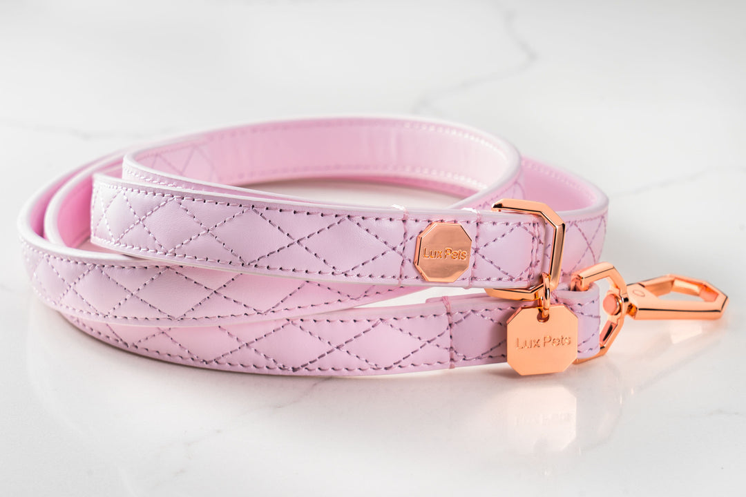 Leather Dog Leash - Pink