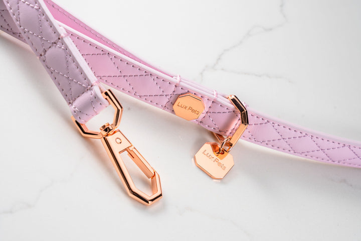 Leather Dog Leash - Pink