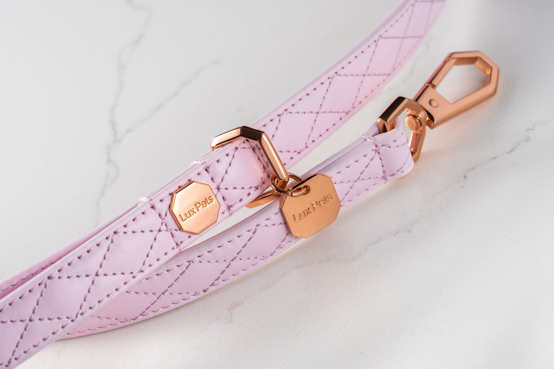 Leather Dog Leash - Pink