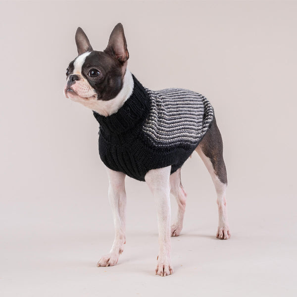 Louis Vuitton Dog Sweater -  Australia