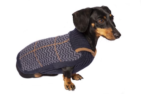 Alqo Wasi Preppy Blue Alpaca Dog Jumper