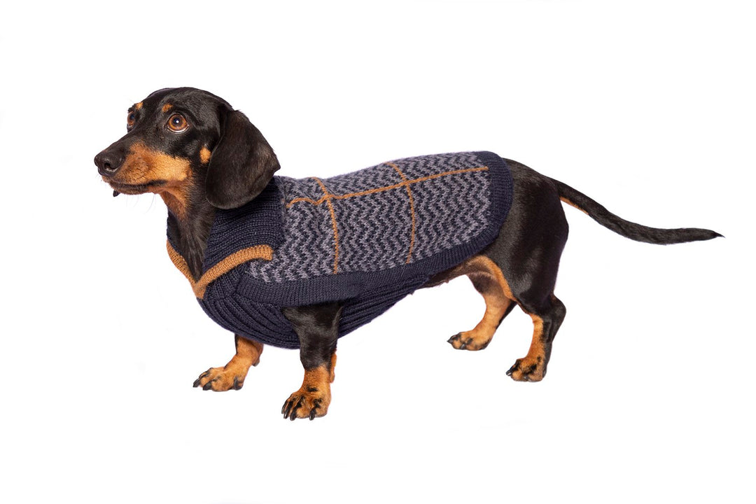 Alqo Wasi Preppy Blue Alpaca Dog Jumper