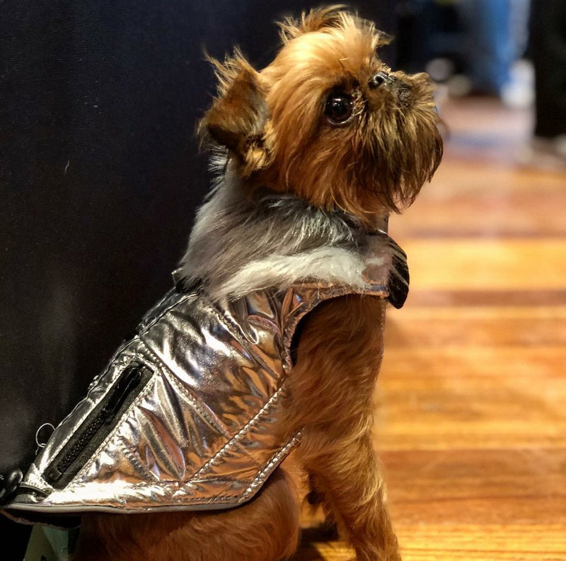 Huskimo Everest Silver Dog Jacket Lux Pets