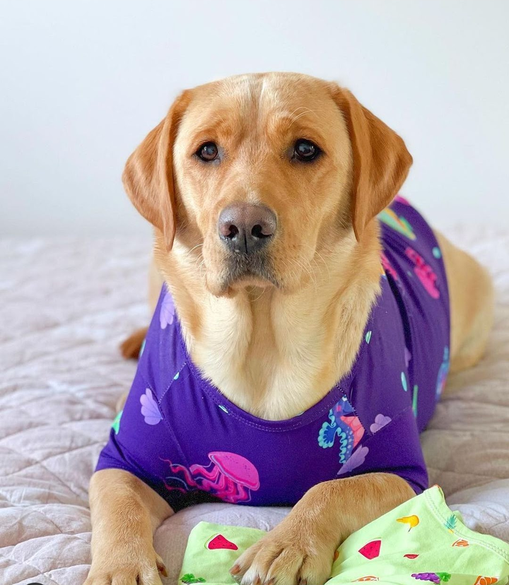 Vibrant Hound Magic Under The Sea T Shirt