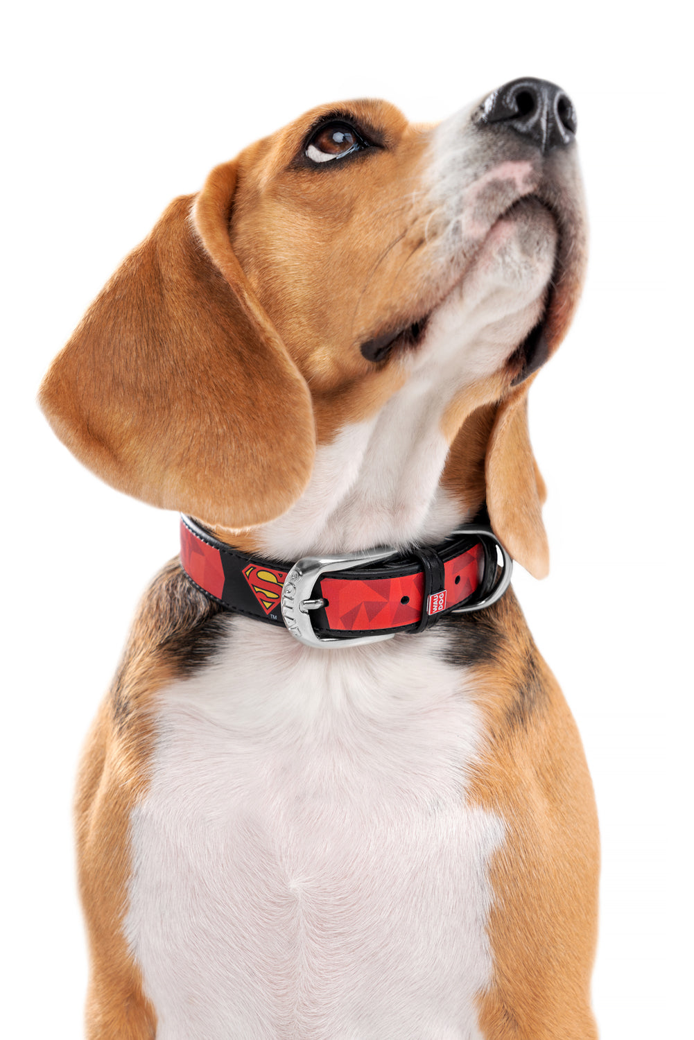 WauDog DC Comic Superman Leather Collar and free Smart ID Tag