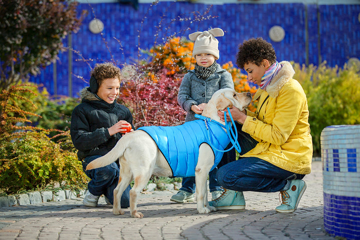 REVERSABLE AIRY VEST DOG JACKET - LIME AND BLUE/CORAL AND GREY