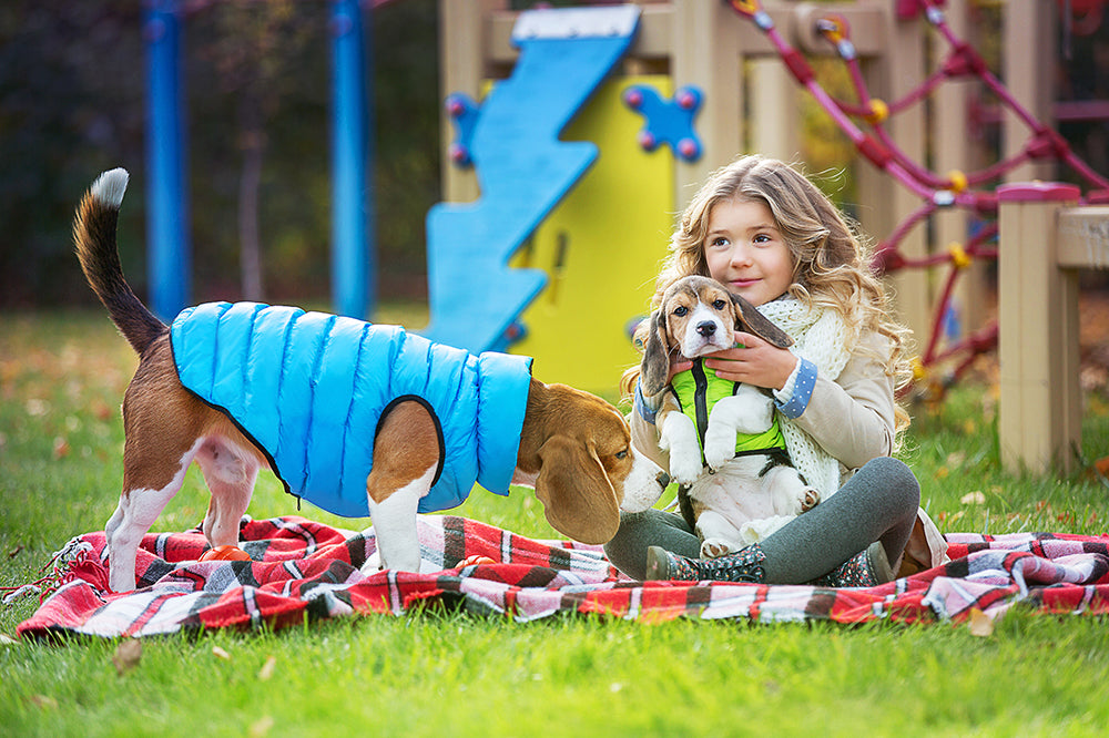 REVERSABLE AIRY VEST DOG JACKET - LIME AND BLUE/CORAL AND GREY