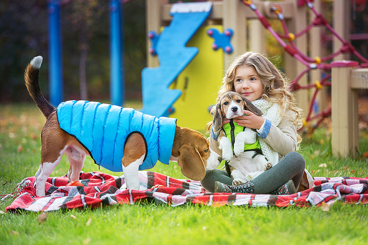 REVERSABLE AIRY VEST DOG JACKET - LIME AND BLUE/CORAL AND GREY