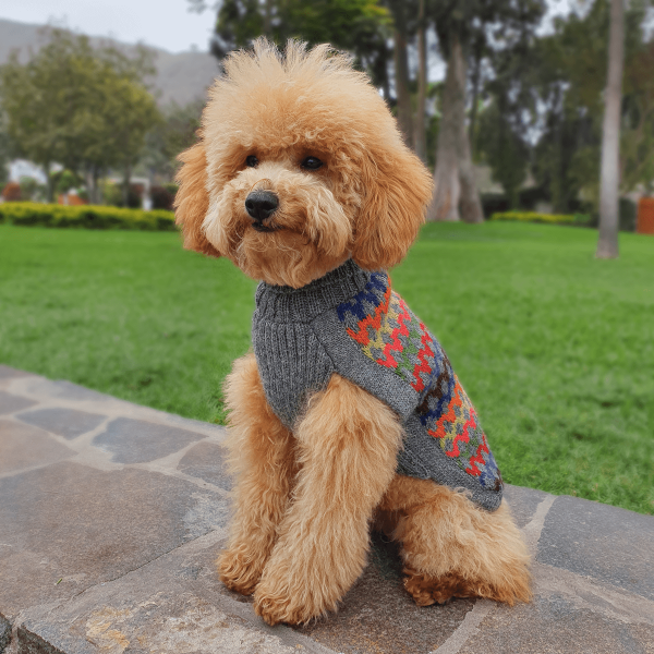 ou dog sweater
