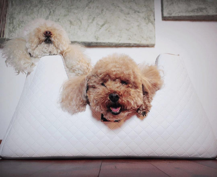 Anteprima Tronky Dog Bed - White Limited Edition