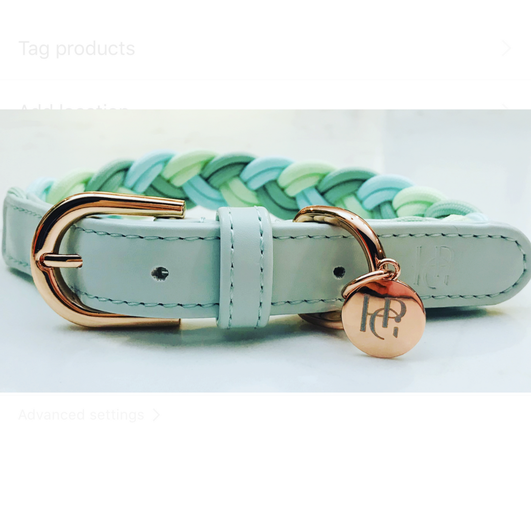 Plaited Dog Collar - Aquamarine