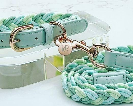 Plaited Dog Collar - Aquamarine