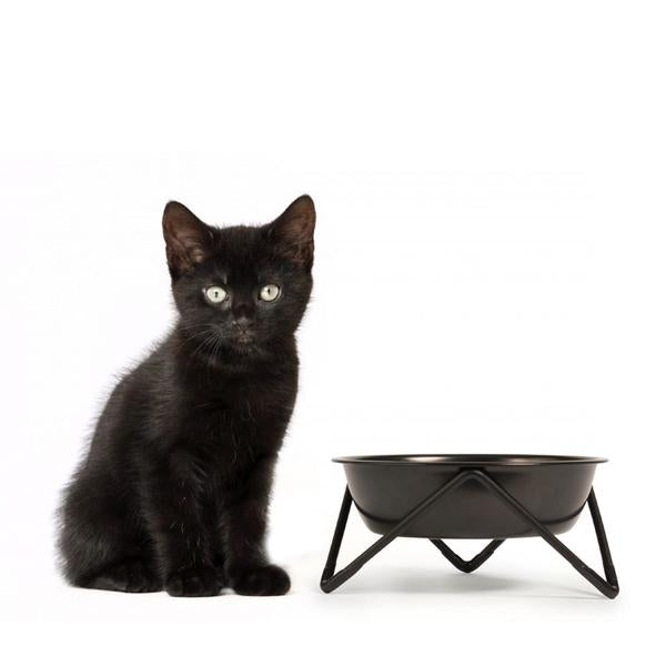 ELEVATED MEOW LUXE BLACK ON BLACK CAT BOWL WITH BLACK STAND - BENDO