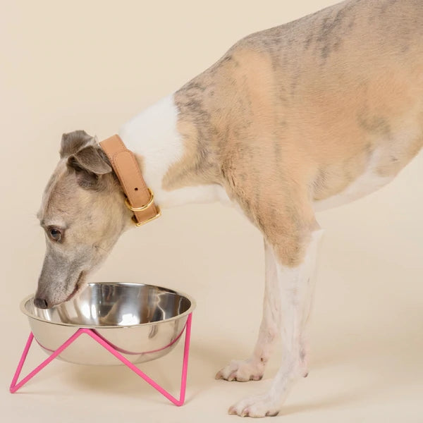 ELEVATED WOOF LUXE "POP" CHROME DOG BOWL WITH PINK STAND - BENDO