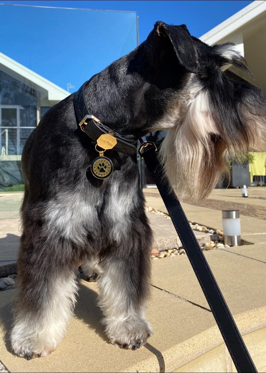 Leather Dog Collar - Black