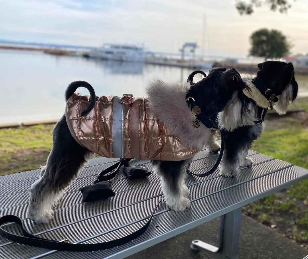 Dog Coat - The Ritz Collection Rose Gold