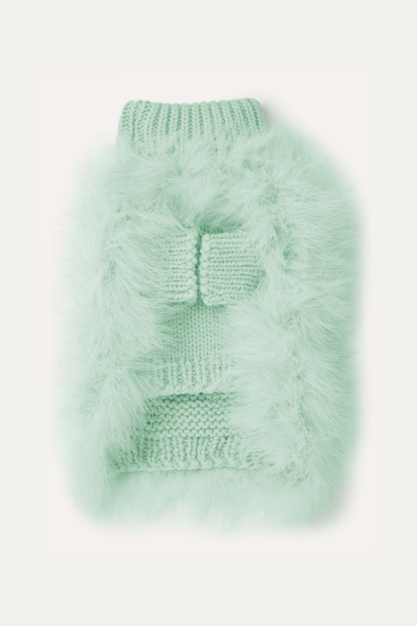 Christian Cowan x Maxbone Designer Dog Jumper - Mint