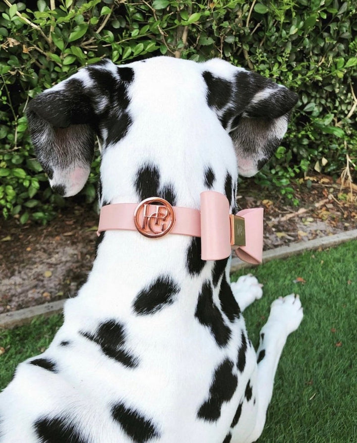 Leather Bow Tie Collar - At Dusk - HGP