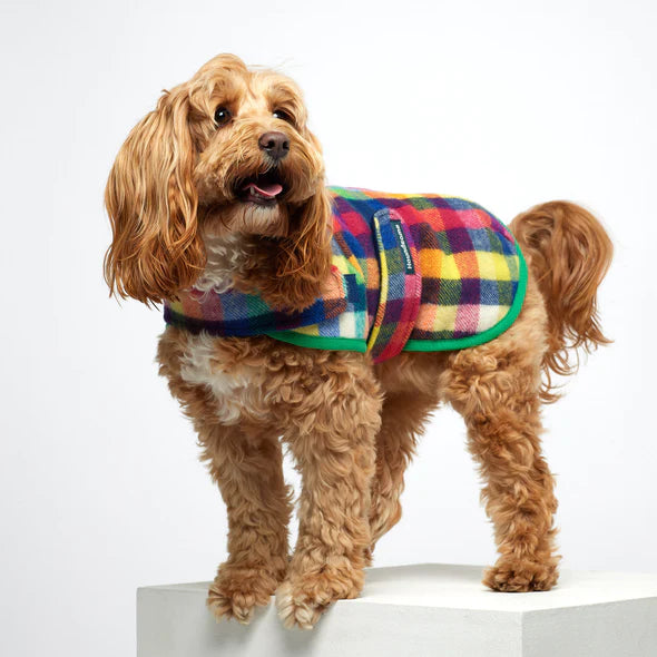 Dog Coat Pure Marino Wool Grevellia Check with Green Trim