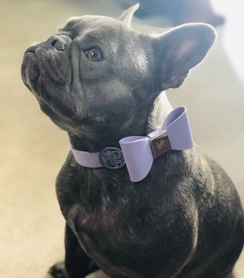 HGP Leather Bow Tie Collar - Lilac Hue