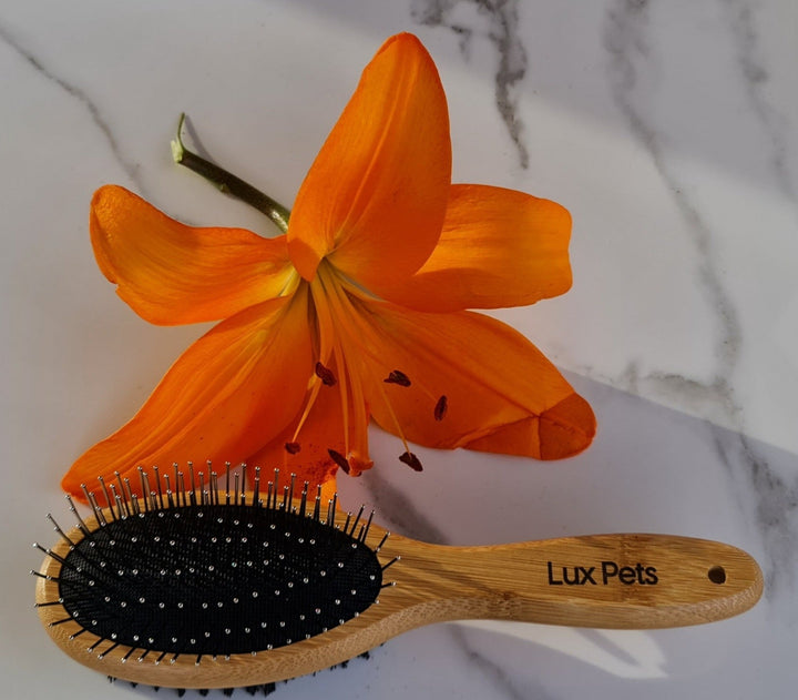 NATURAL BAMBOO TWO-SIDED DOG & CAT BRUSH - Lux Pets