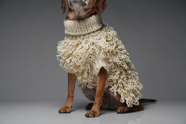 Maxbone Curly Knit Dog Jumper