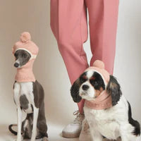 MaxBone Balaclava for Dogs - Pink