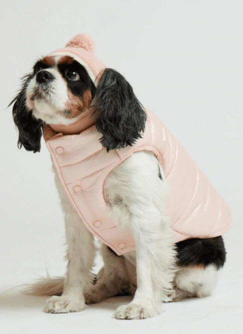 MaxBone Balaclava for Dogs - Pink