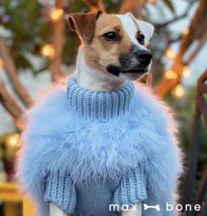 Christian Cowan x Maxbone  Designer Dog Jumper - Blue