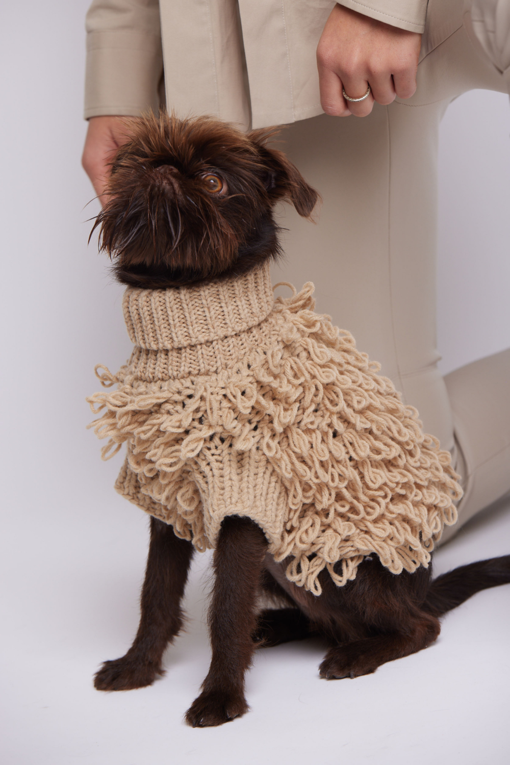 Maxbone Curly Knit Dog Jumper