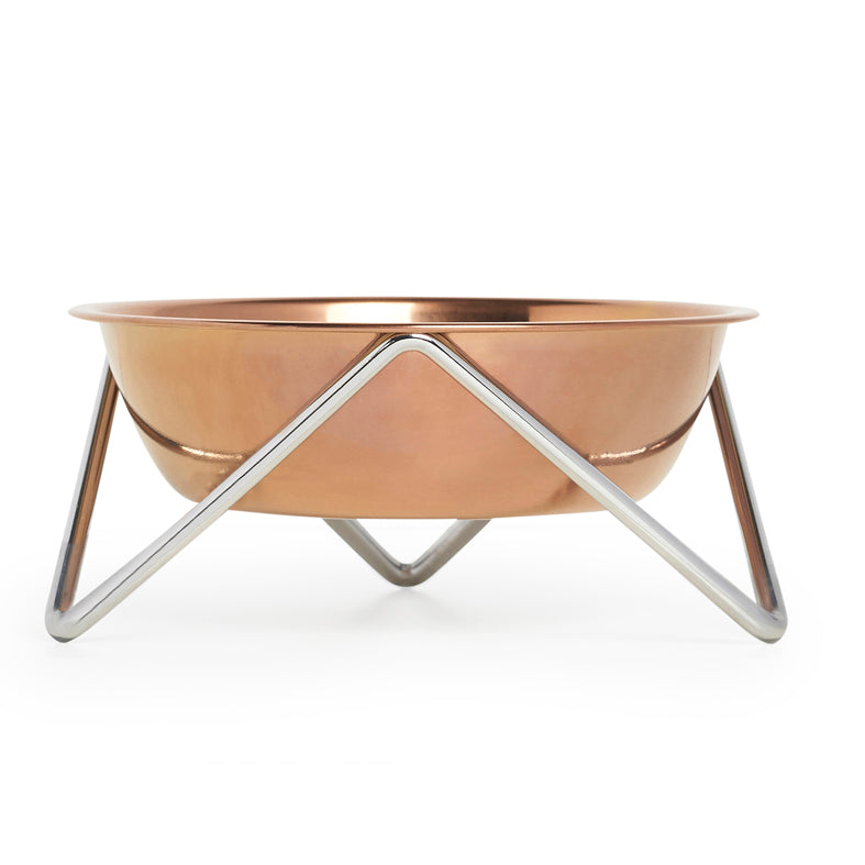 Meow Luxe Bronze Cat Bowl With Chrome Stand - BENDO