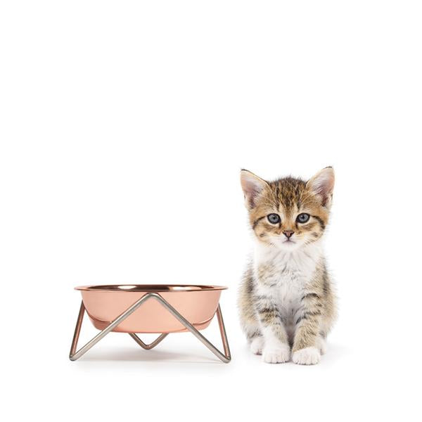 ELEVATED MEOW LUXE COPPER CAT BOWL WITH CHROME STAND - BENDO