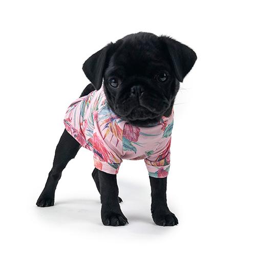 HUSKIMO MIAMI DOG T SHIRT - PINK