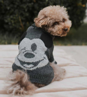 Disney x Maxbone Mickey Mouse Applique Dog Jumper - Grey