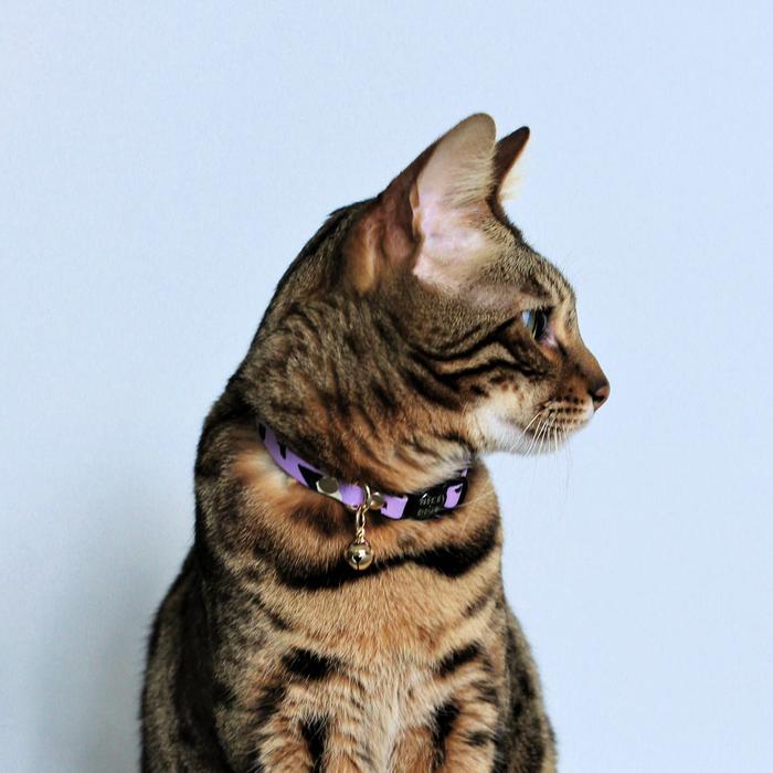 Animal Leather Cat Collar - Lilac - Nice Digs