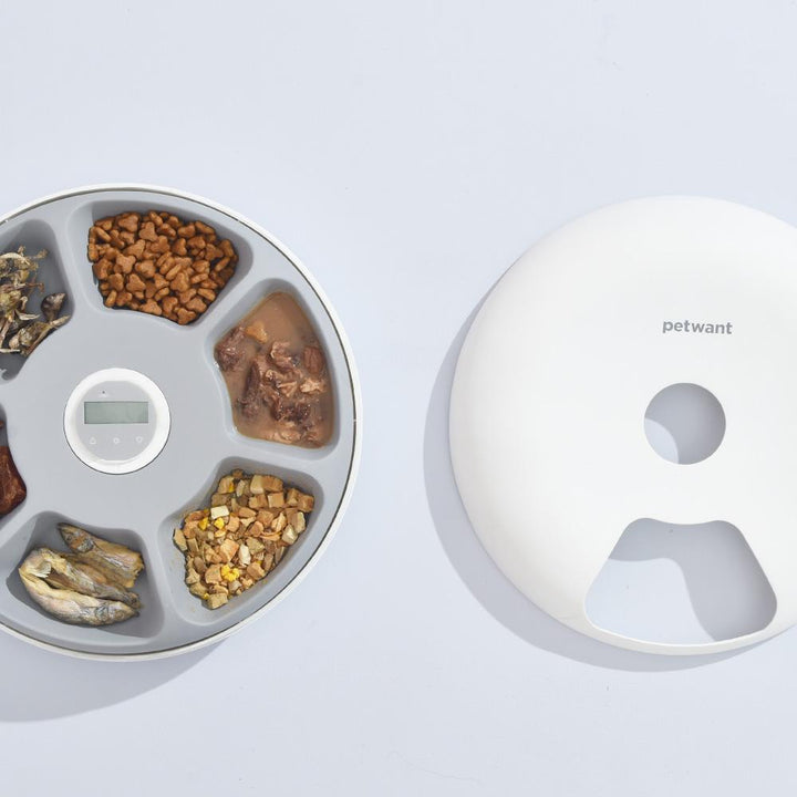 Petwant Automatic Pet Feeder 6-Meals White