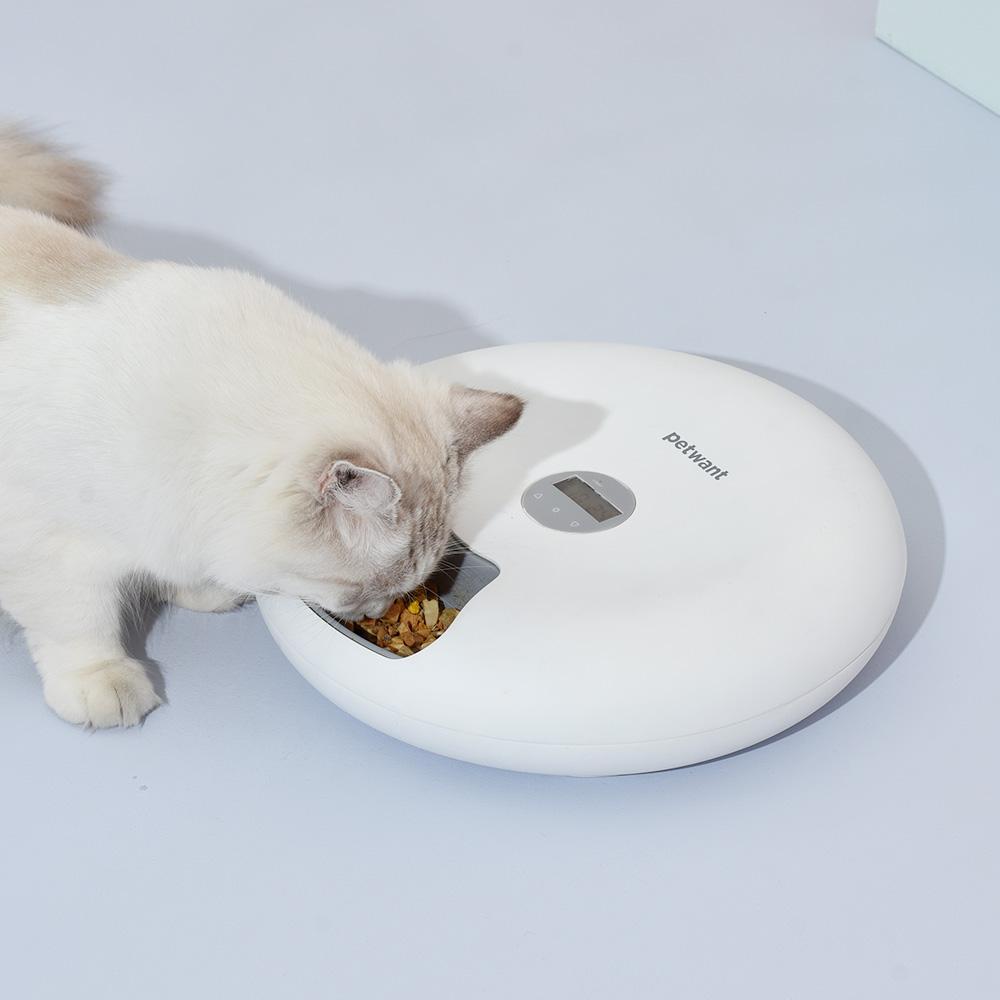 Petwant Automatic Pet Feeder 6-Meals White