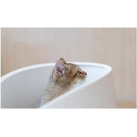 Pidan cat store litter box australia