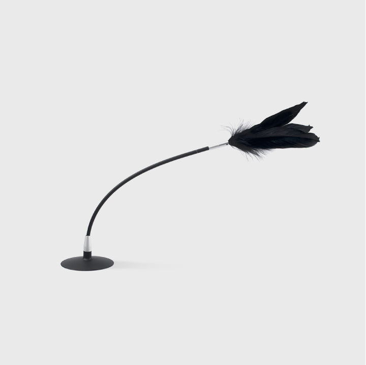 PIDAN CAT SHAKE TEASER WAND BLACK