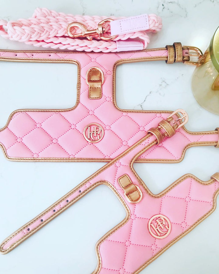 Two pink and Gold leather dog harnesses