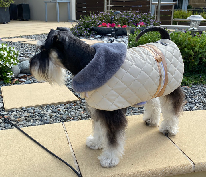 Dog Coat - The Ritz Collection Cream Delight - Lux Pets