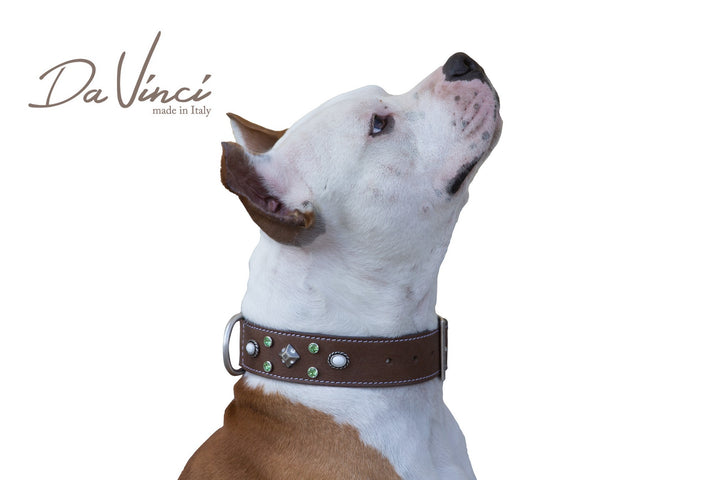 Maddalena Leather Dog Collar Brown