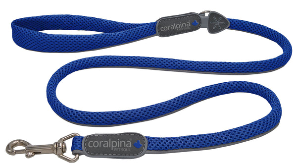 DOG LEASH - CINQUETORRI  AND FIAMES BLUE