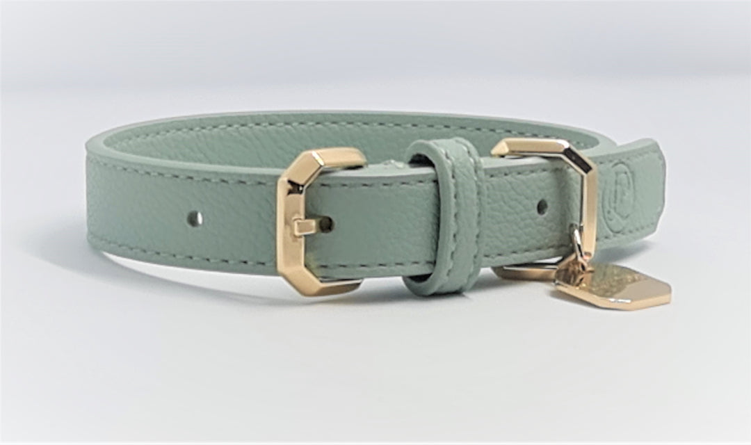 Leather Dog Collar - Sage