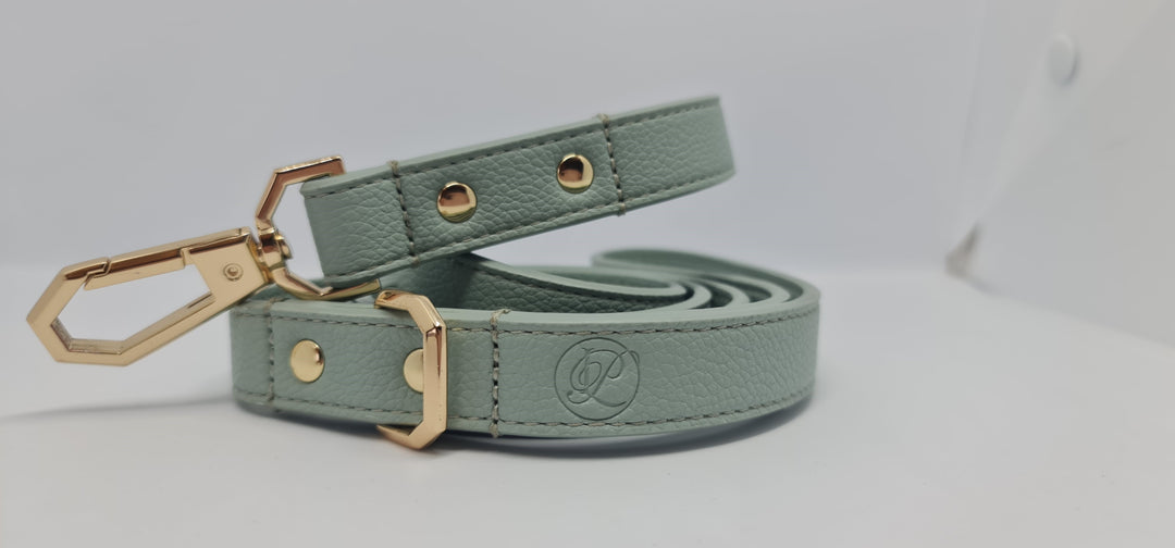 Leather Dog Leash - Sage