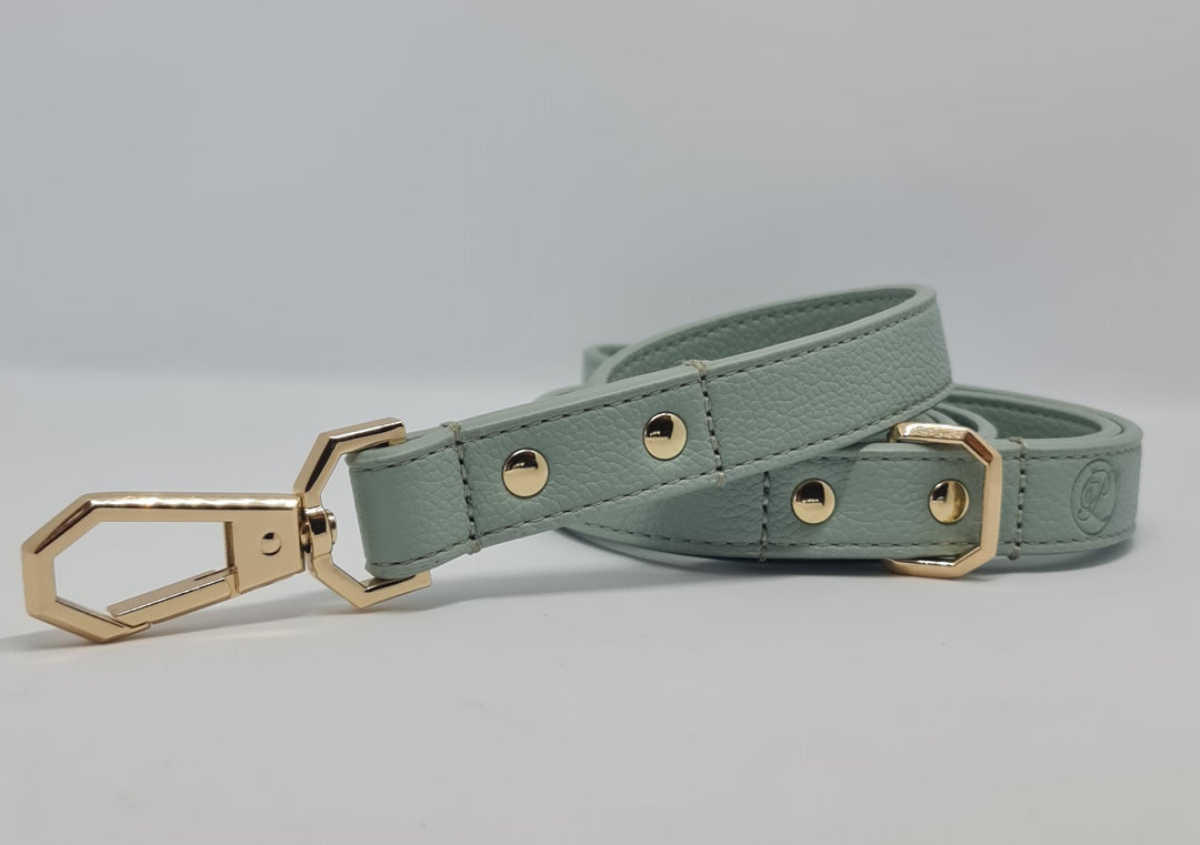 Leather Dog Leash - Sage