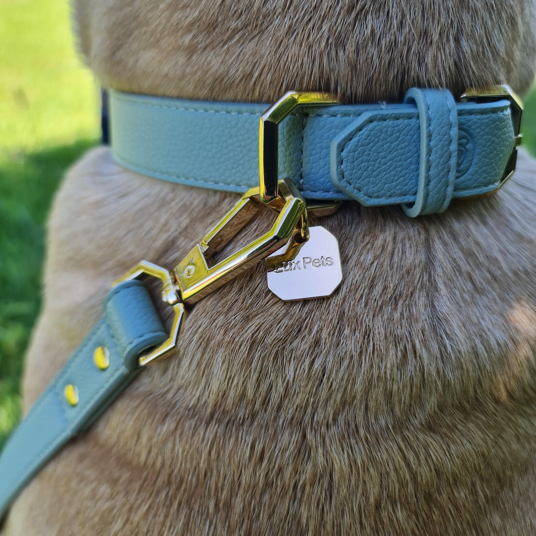 Leather Dog Collar - Sage