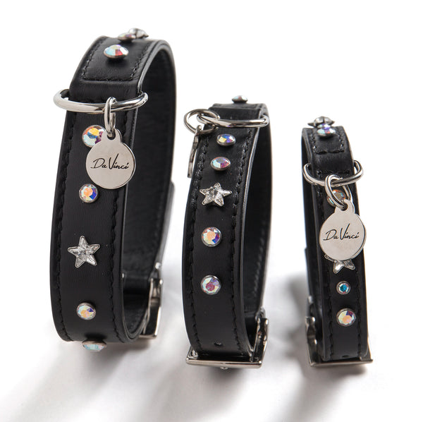 Buy Dog Collars Online Australia